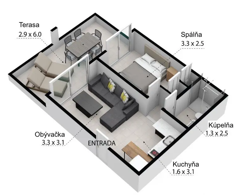 3D floor plan: terrace 2.9 × 6.0 m, living room 3.3 × 3.1 m, kitchen 1.6 × 3.1 m, bedroom 3.3 × 2.5 m, bathroom 1.3 × 2.5 m